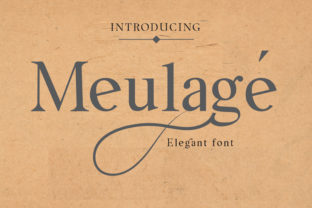 Meulage: A Timeless Serif Font for Every Need