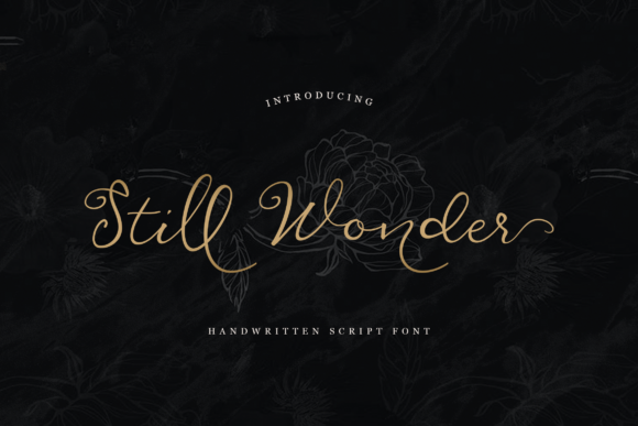 Still Wonder: A Versatile and Elegant Font for Every Design Need