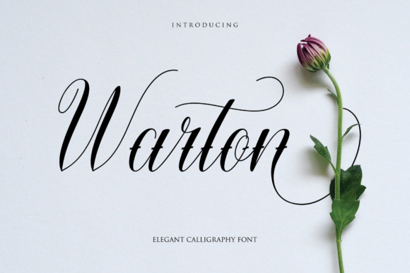 The Elegance of Warton: A Calligraphy Font for Modern Creativity